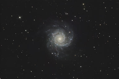 M74.jpg