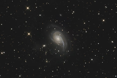 NGC772.jpg