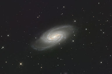 NGC2903.jpg