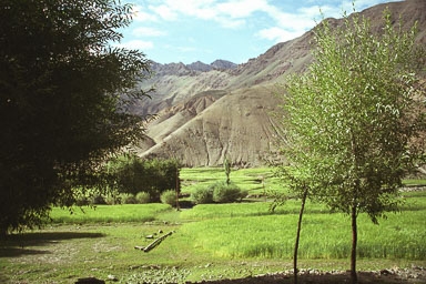 20030528_1672_main.jpg