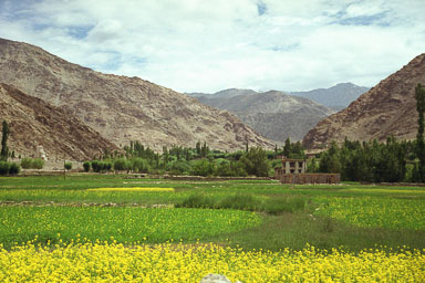 20030528_1685_main.jpg