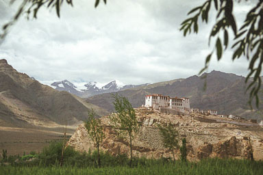 20030528_1689_main.jpg