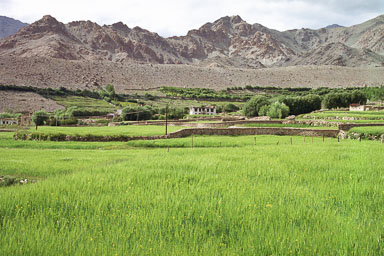 16. Manali - Leh 2001