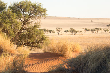 11. Namibia 2013