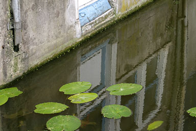 04. Niederlande bis 2021