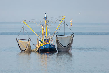 04. Niederlande bis 2021