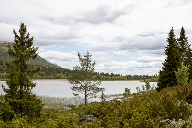 07. Süd Norwegen 2019