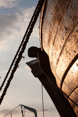 12. Oman & Sharjah 2009