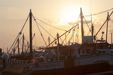 20090124_3429_main.jpg