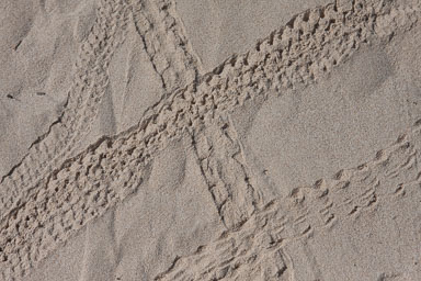 20090127_3444_main.jpg