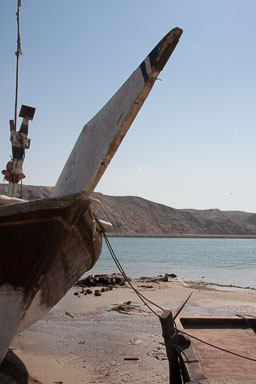 20090127_3449_main.jpg