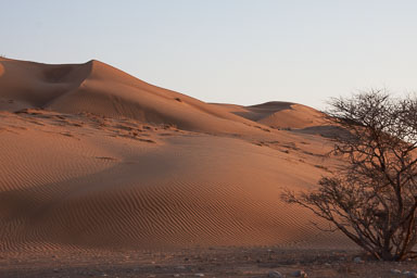 12. Oman & Sharjah 2009