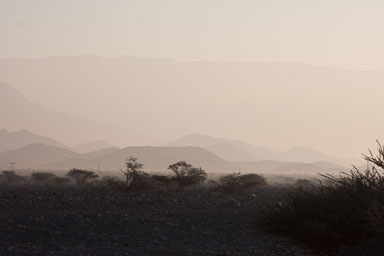 20090128_3461_main.jpg