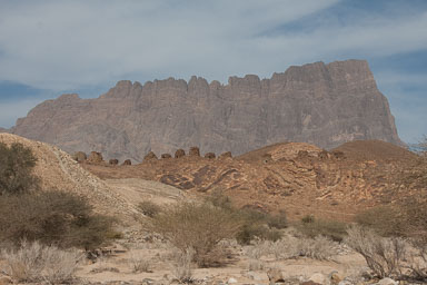 20090128_3465_main.jpg