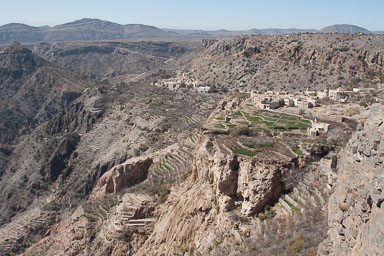 20090129_3492_main.jpg