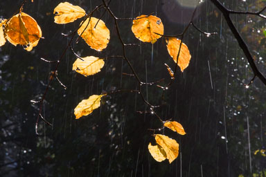 03. Schweiz bis 2020