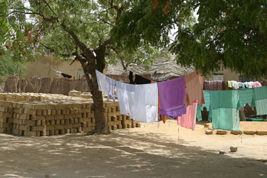 14. Senegal 2006