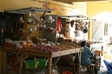 14. Senegal 2006