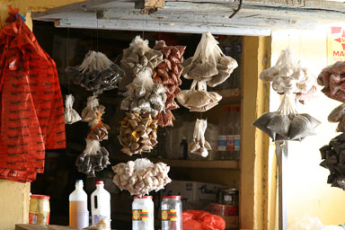 14. Senegal 2006