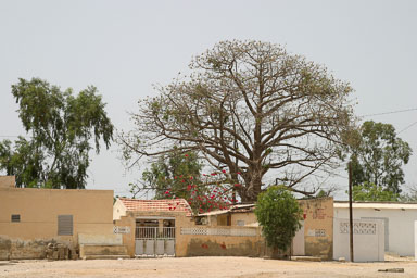 14. Senegal 2006
