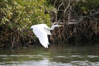 14. Senegal 2006