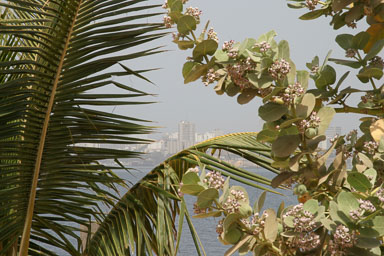 14. Senegal 2006