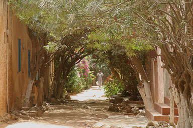 14. Senegal 2006