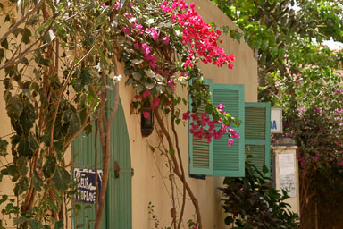 14. Senegal 2006