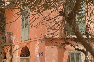 14. Senegal 2006
