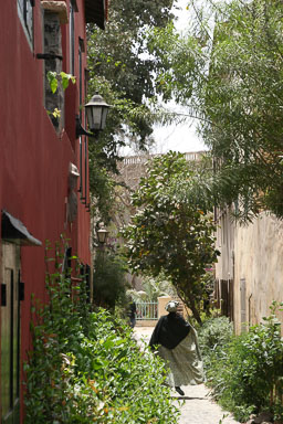 14. Senegal 2006