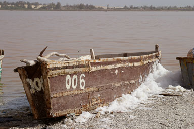 14. Senegal 2006