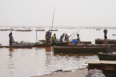 14. Senegal 2006
