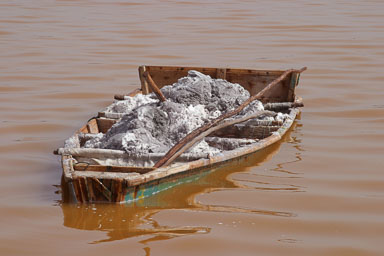 14. Senegal 2006