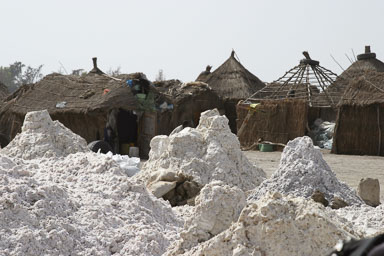 14. Senegal 2006