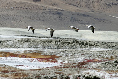 15. Shimla - Leh 2004