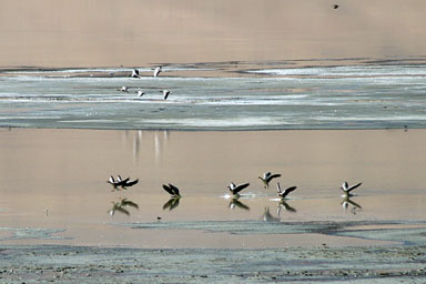 15. Shimla - Leh 2004