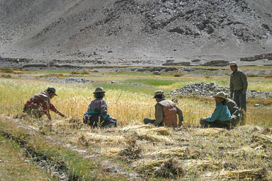 15. Shimla - Leh 2004