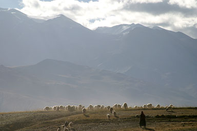 20040919_2417_main.jpg