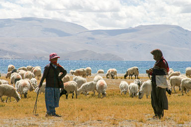 15. Shimla - Leh 2004